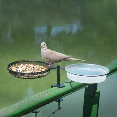 Deck mounted bird feeder and bath